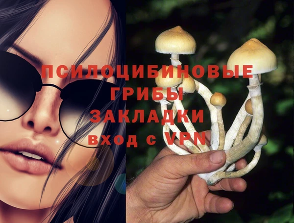 mix Ельня
