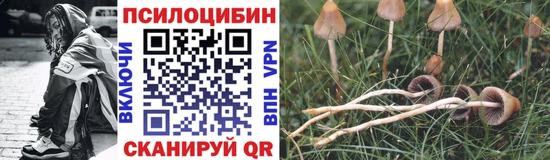 Псилоцибиновые грибы GOLDEN TEACHER  Купить  Сковородино 