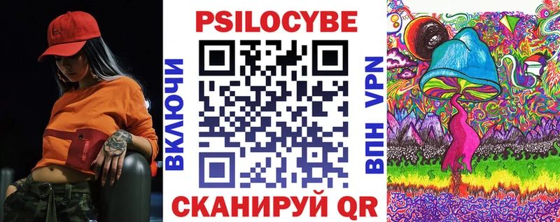 Галлюциногенные грибы Psilocybe Сковородино
